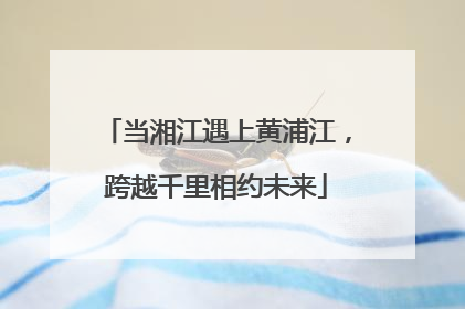 当湘江遇上黄浦江，跨越千里相约未来