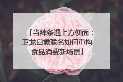 当辣条遇上方便面：卫龙白象联名如何重构食品消费新场景