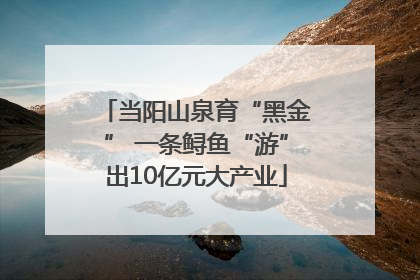 当阳山泉育“黑金” 一条鲟鱼“游”出10亿元大产业
