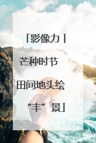 影像力丨芒种时节 田间地头绘“丰”景