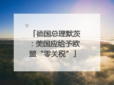 德国总理默茨：美国应给予欧盟“零关税”