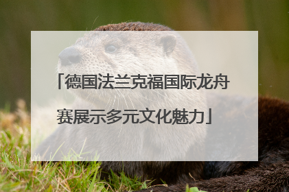 德国法兰克福国际龙舟赛展示多元文化魅力