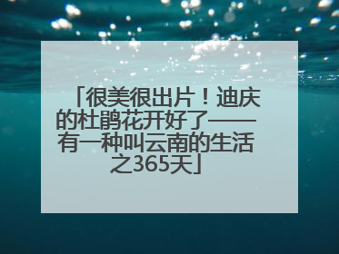 很美很出片！迪庆的杜鹃花开好了——有一种叫云南的生活之365天