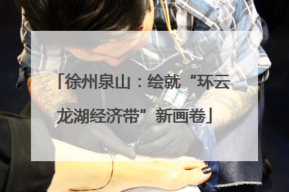徐州泉山：绘就“环云龙湖经济带”新画卷