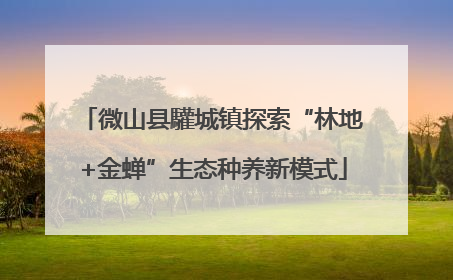 微山县驩城镇探索“林地+金蝉”生态种养新模式