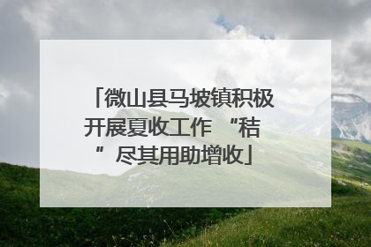 微山县马坡镇积极开展夏收工作 “秸”尽其用助增收