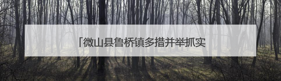 微山县鲁桥镇多措并举抓实 “三夏” 秸秆禁烧工作