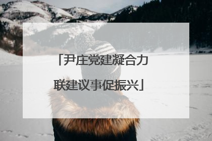 尹庄党建凝合力 联建议事促振兴