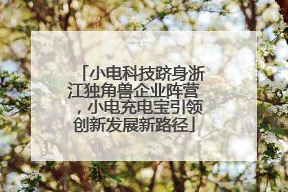 小电科技跻身浙江独角兽企业阵营，小电充电宝引领创新发展新路径