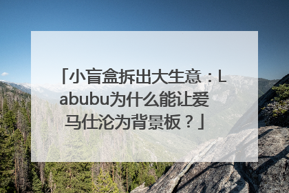 小盲盒拆出大生意：Labubu为什么能让爱马仕沦为背景板？