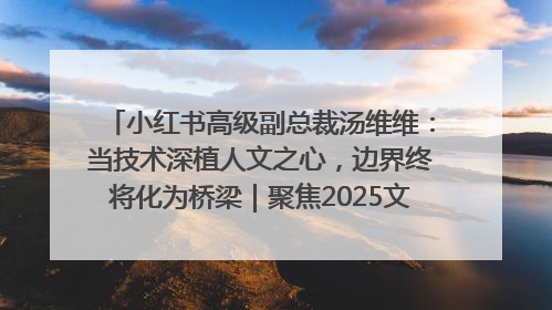 小红书高级副总裁汤维维：当技术深植人文之心，边界终将化为桥梁｜聚焦2025文化强国建设高峰论坛