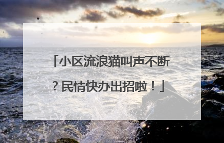 小区流浪猫叫声不断？民情快办出招啦！