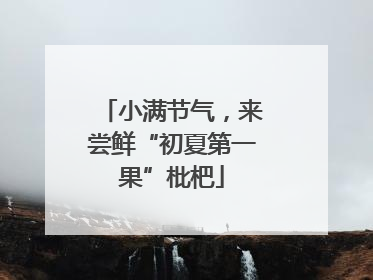 小满节气，来尝鲜“初夏第一果”枇杷