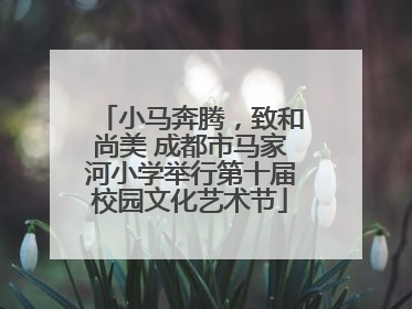 小马奔腾，致和尚美 成都市马家河小学举行第十届校园文化艺术节