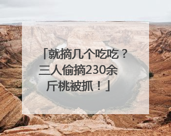 就摘几个吃吃？三人偷摘230余斤桃被抓！