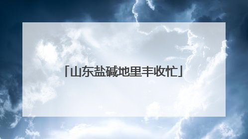 山东盐碱地里丰收忙