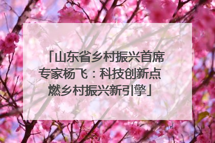 山东省乡村振兴首席专家杨飞：科技创新点燃乡村振兴新引擎