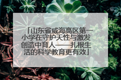 山东省威海高区第一小学在守护天性与激发创造中育人——扎根生活的科学教育更有效