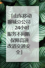 山东移动聊城分公司：24小时服务不间断 保障高速改道交通安全