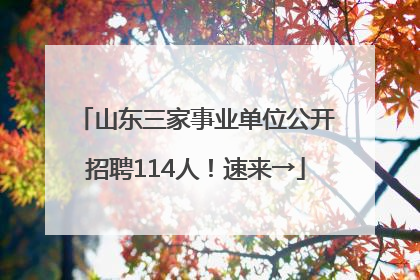 山东三家事业单位公开招聘114人！速来→