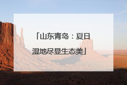 山东青岛：夏日湿地尽显生态美