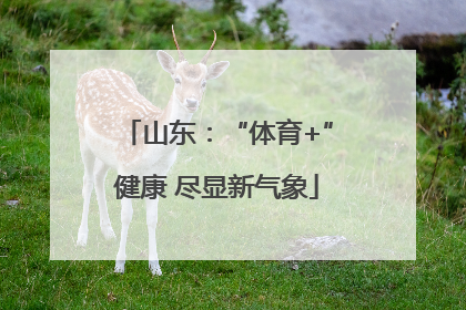 山东：“体育+”健康 尽显新气象
