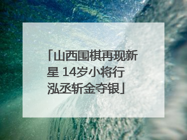 山西围棋再现新星 14岁小将行泓丞斩金夺银