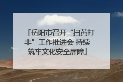 岳阳市召开“扫黄打非”工作推进会 持续筑牢文化安全屏障