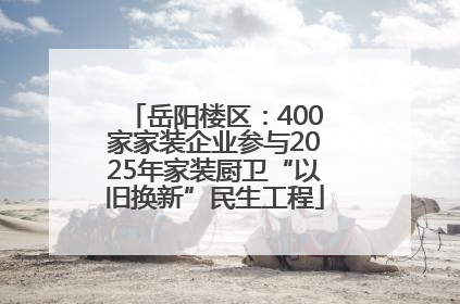 岳阳楼区：400家家装企业参与2025年家装厨卫“以旧换新”民生工程