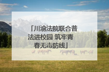 川渝法院联合普法进校园 筑牢青春无毒防线