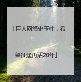 巨人网络史玉柱：希望征途再活20年