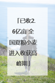 已收2.6亿亩 全国夏粮小麦进入收获高峰期