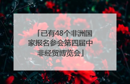 已有48个非洲国家报名参会第四届中非经贸博览会