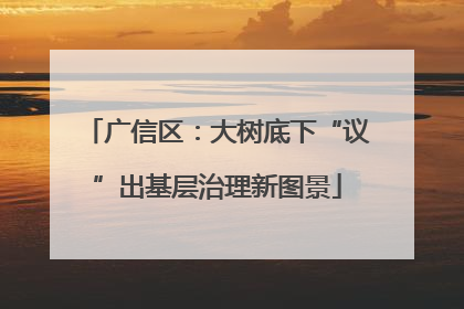 广信区：大树底下“议”出基层治理新图景