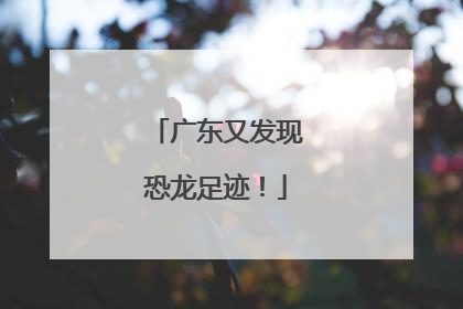 广东又发现恐龙足迹！