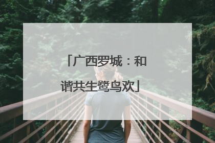 广西罗城：和谐共生鹭鸟欢