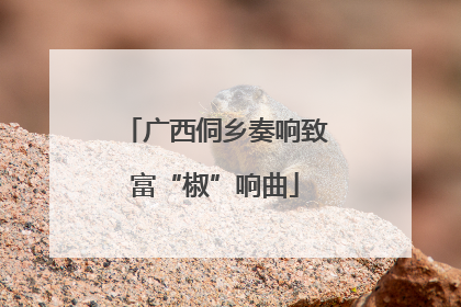广西侗乡奏响致富“椒”响曲