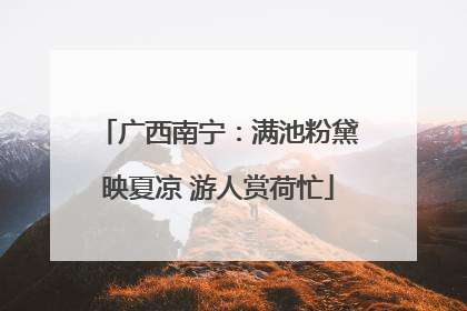 广西南宁：满池粉黛映夏凉 游人赏荷忙
