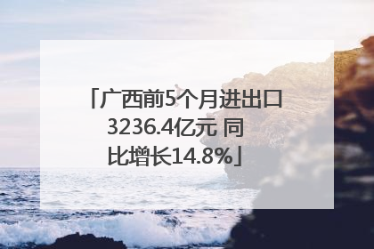 广西前5个月进出口3236.4亿元 同比增长14.8%