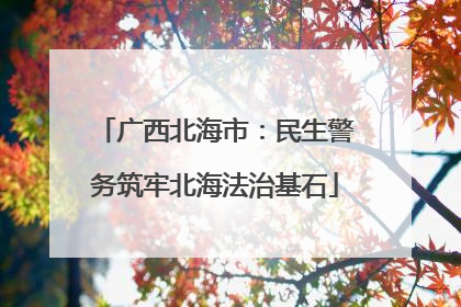 广西北海市：民生警务筑牢北海法治基石