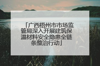 广西梧州市市场监管局深入开展建筑保温材料安全隐患全链条整治行动