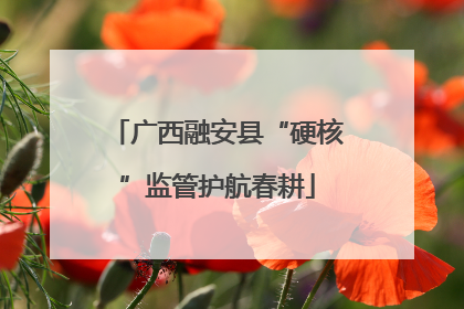 广西融安县“硬核”监管护航春耕