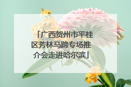广西贺州市平桂区芳林马蹄专场推介会走进哈尔滨