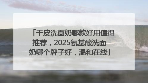 干皮洗面奶哪款好用值得推荐，2025氨基酸洗面奶哪个牌子好，温和在线