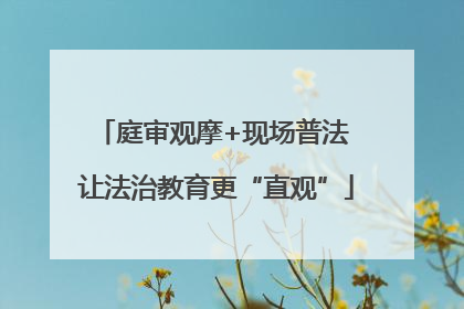 庭审观摩+现场普法 让法治教育更“直观”