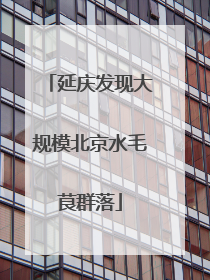 延庆发现大规模北京水毛茛群落