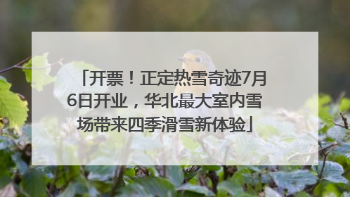 开票！正定热雪奇迹7月6日开业，华北最大室内雪场带来四季滑雪新体验