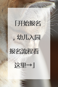 开始报名，幼儿入园报名流程看这里→