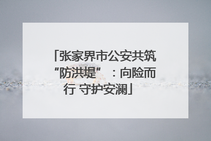 张家界市公安共筑“防洪堤”：向险而行 守护安澜