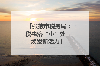 张掖市税务局：税惠落“小”处 焕发新活力